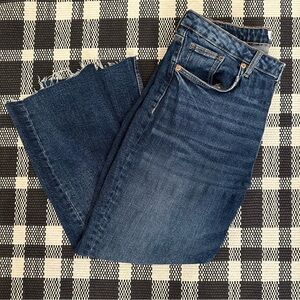 Women’s Zara Denim Ankle Length Size 10